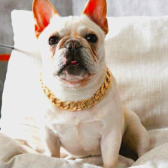 🎉HP🎉Y2K Hip hop Fashion Chain Dog Collar - Picture 11 of 11